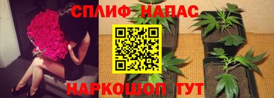 jwh Новокубанск