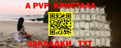 прущие грибы Новодвинск