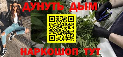 сатива Обь